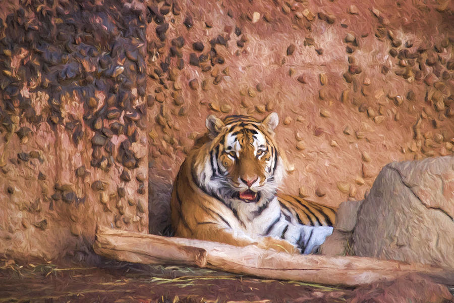 Gậm một khối căm hờn trong cũi sắt, Ta nằm dài, trông ngày tháng dần qua…