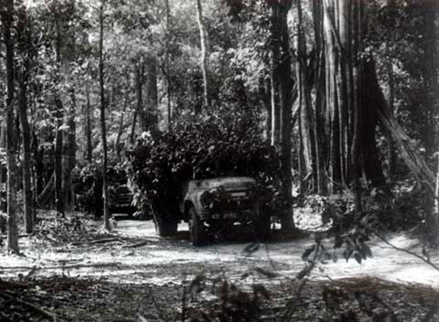 ngay 19 5 la ngay thanh lap