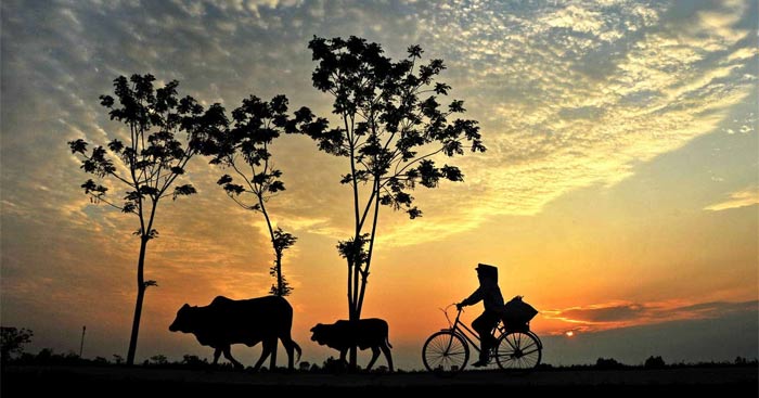 nghi luan xa hoi ve que huong