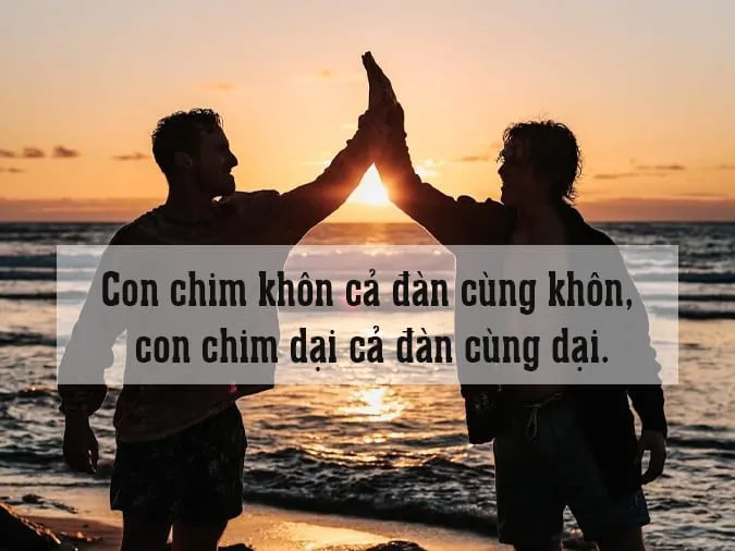 Nghĩa câu tục ngữ ngựa chạy có bầy là gì? 3