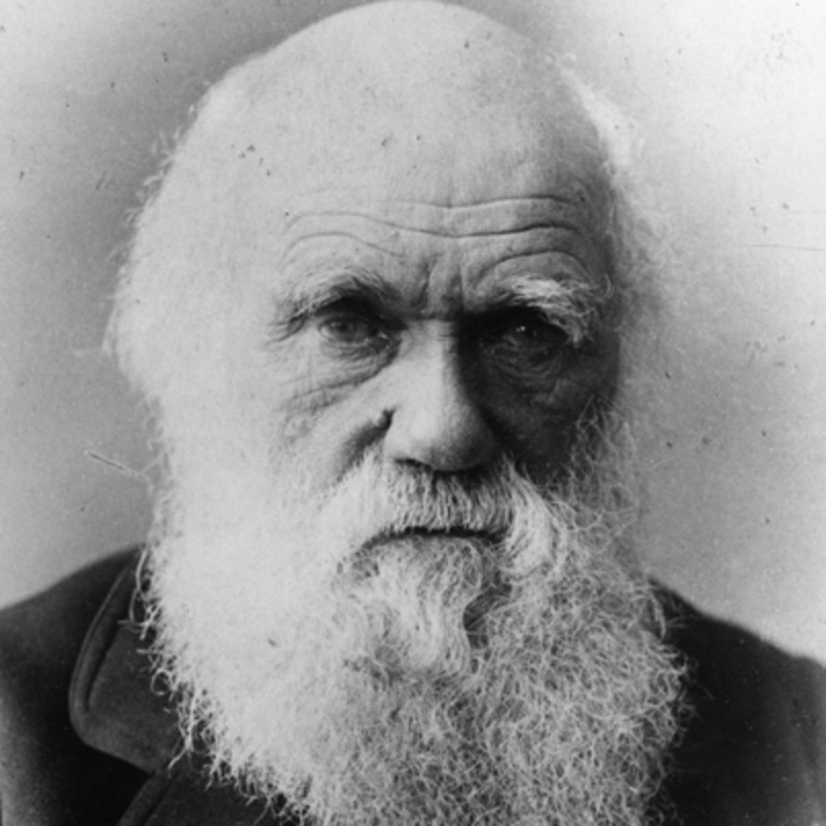 Charles Darwin anh 1