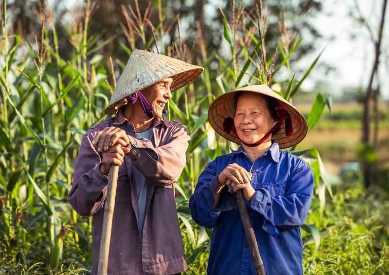 gia tri vat chat va tinh than cua non la