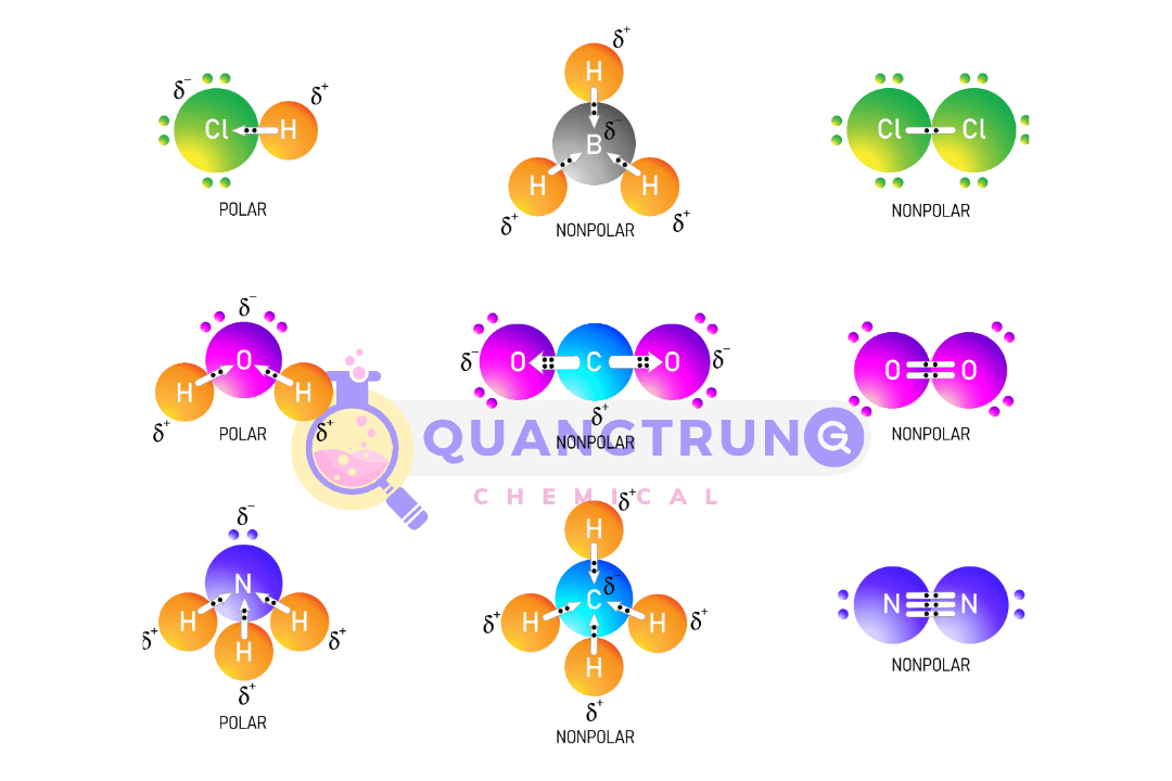 cách xác định dung môi phân cực và không phân cực