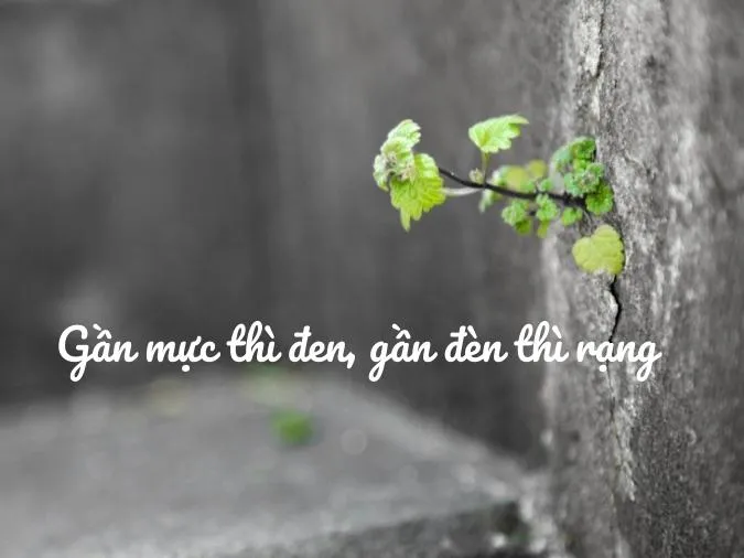 o-bau-thi-tron-o-ong-thi-dai-voh-4