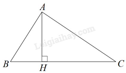 Đề cương ôn tập học kì 2 Toán 8 - Cánh diều</>