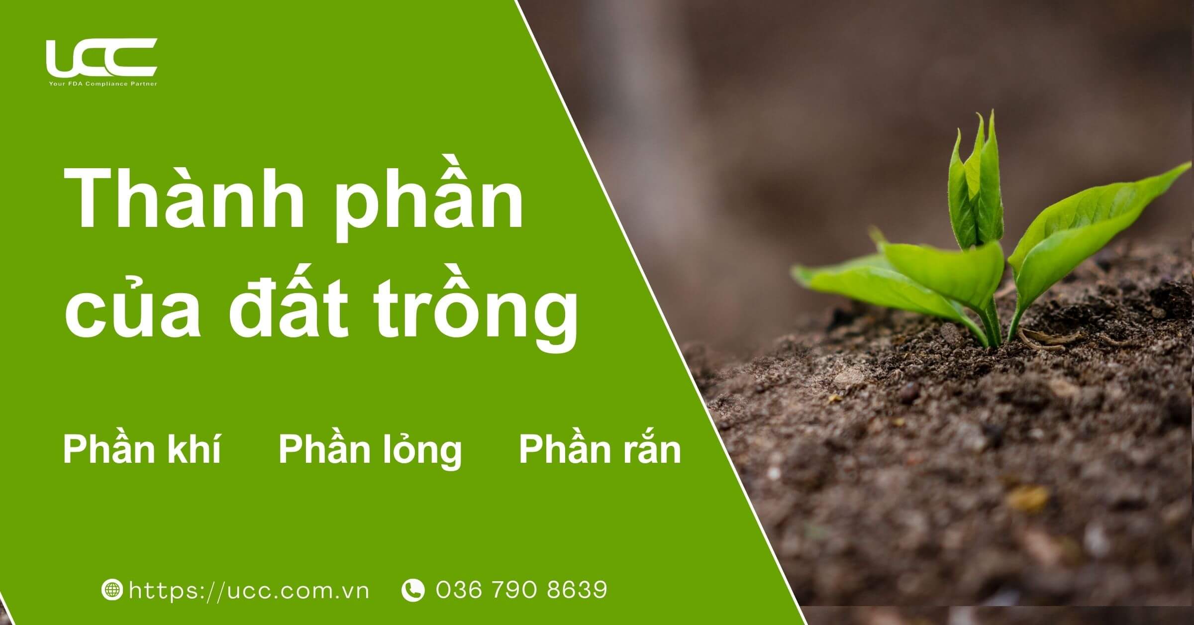 Thành phần chính của đất trồng gồm những gì?