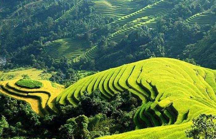 Cảm nhận 8 câu đầu Việt Bắc chi tiết