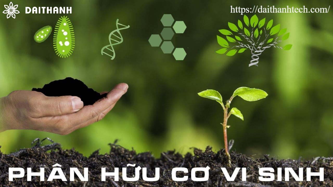 Phân bón vi sinh để làm gì? Cách sử dụng phân vi sinh hiệu quả 3