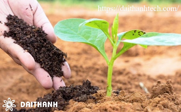 Phân bón vi sinh để làm gì? Cách sử dụng phân vi sinh hiệu quả 5