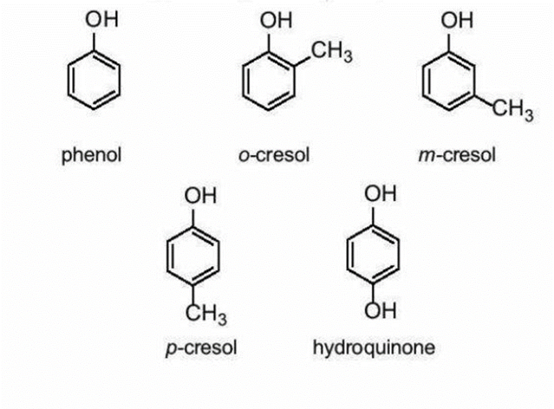 phenol co tan trong nuoc khong