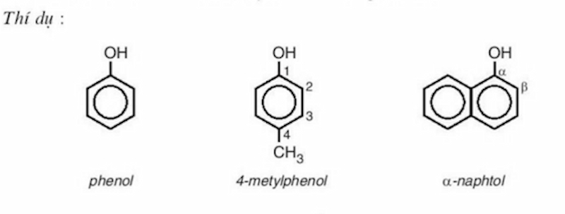 Ví dụ về phenol đơn chức. (Ảnh: Sưu tầm Internet)