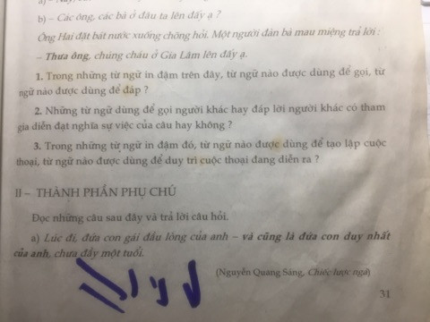 Phép chêm xen. (Ảnh do tác giả cung cấp)