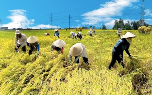 top 3 bai thuyet minh ve chiec non la day du moi nhat 2023 dspl 17