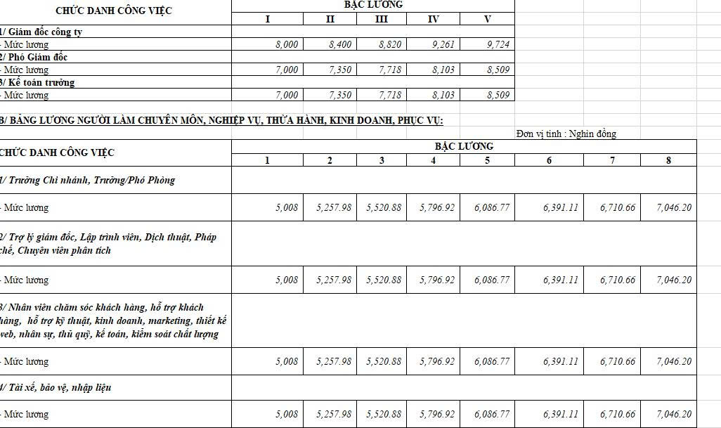 Mẫu hệ thống thang bảng lương 1
