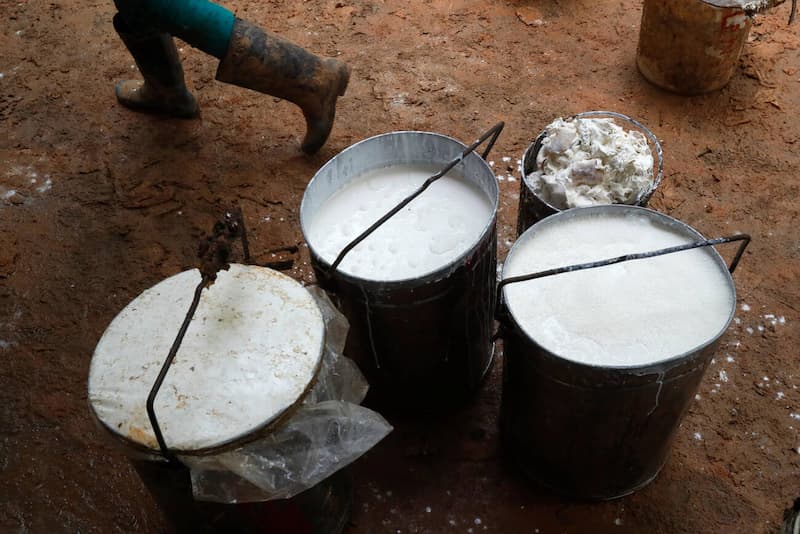 rubber cuc tay doc nhu the nao 2