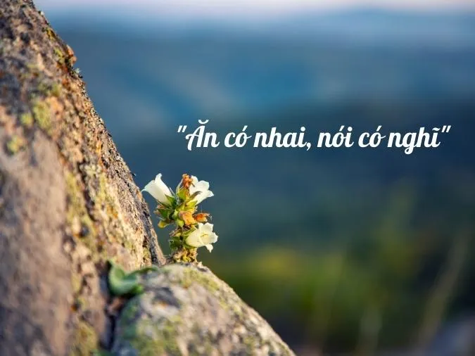 rut-day-dong-rung-voh-3