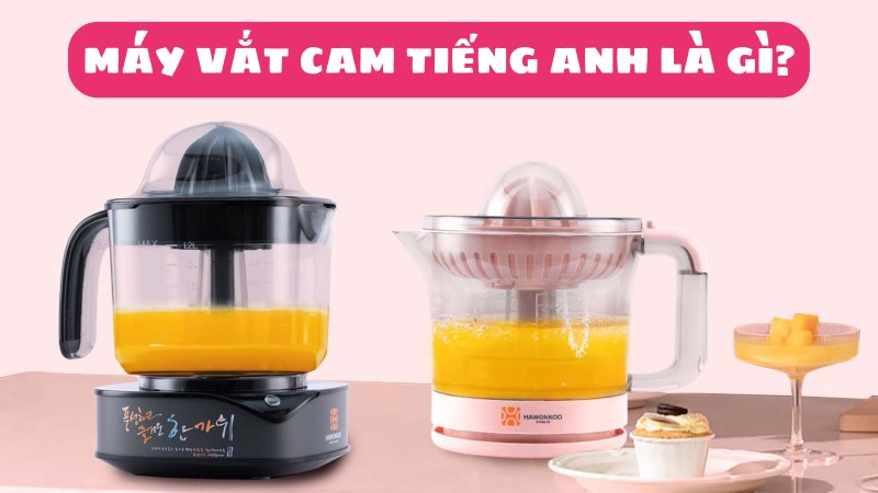 Máy vắt cam tiếng Anh là gì