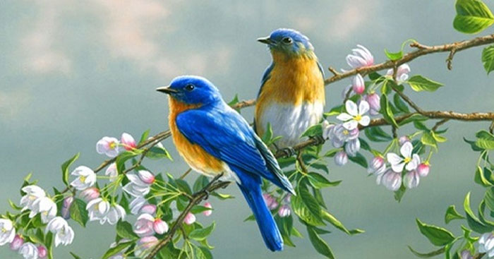 Cảm nhận hình ảnh thiên nhiên trong Mùa xuân nho nhỏ và Sang thu