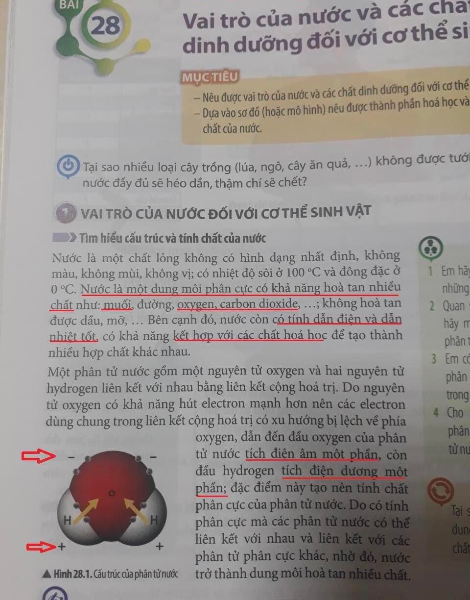 Nội dung bài học trong sách Khoa học tự nhiên 7. (Nguồn ảnh:Lưu Huỳnh Vạn Long)
