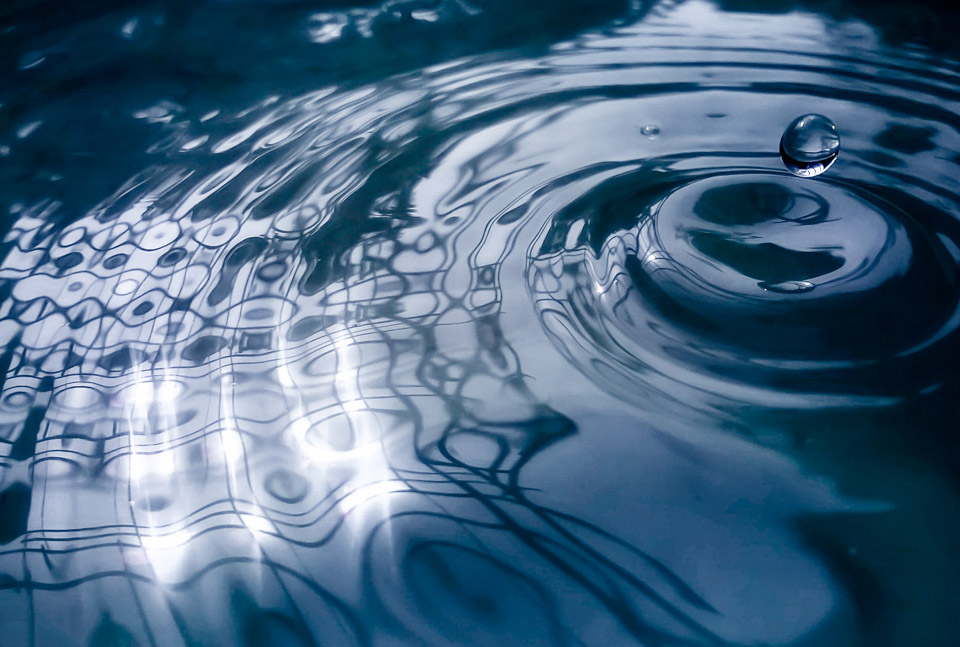 song co hoc la qua trinh