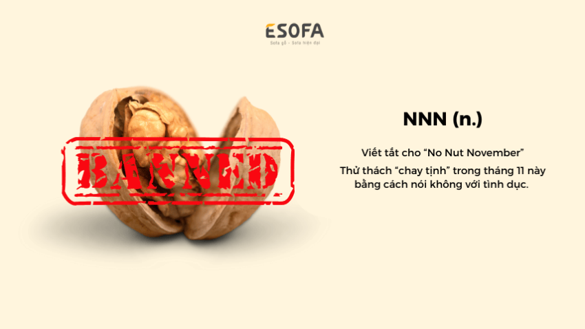 thang 11 nnn nghia la gi