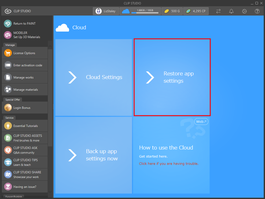 the new computer system 10
