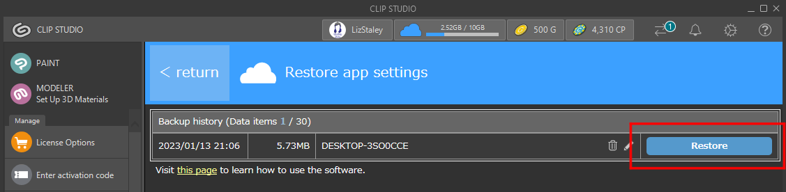 the new computer system 11