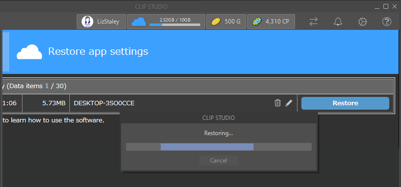 the new computer system 12