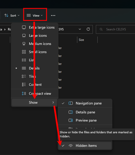 the new computer system 2