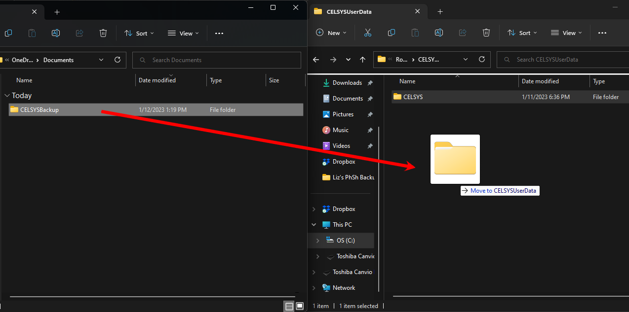 the new computer system 4