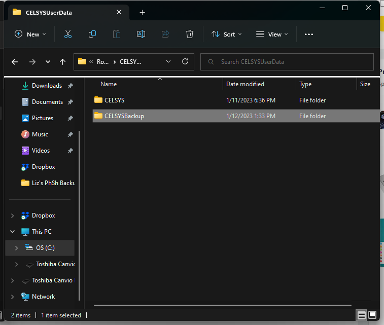 the new computer system 5