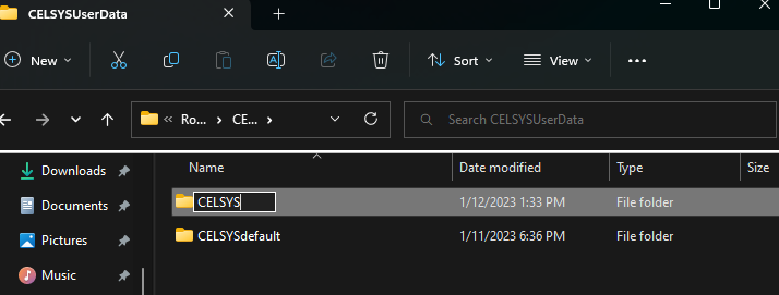 the new computer system 6