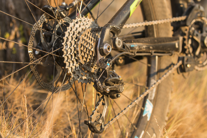 the yeti has very rarely been seen at this altitude 11