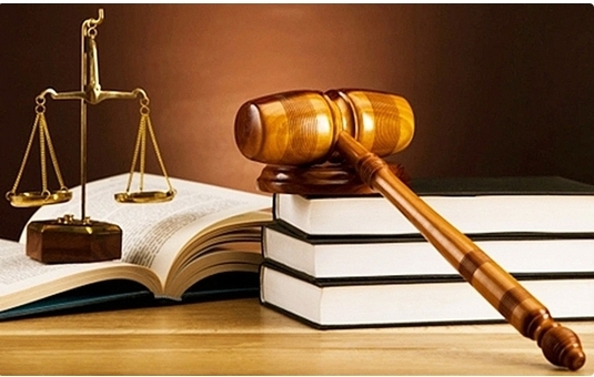 Ảnh minh họa (Nguồn: Internet)