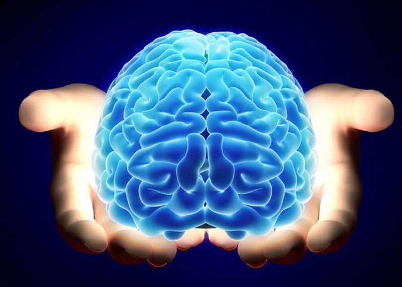 Phản xạ có điều kiện là gì? Phân loại các dạng phản xạ có điều kiện 2