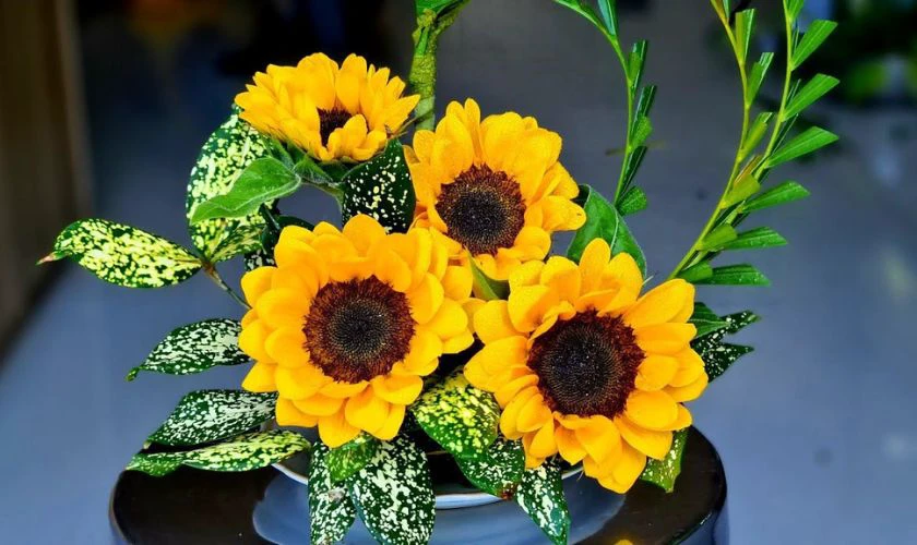 Những bài thuyết trình cắm hoa 20/10 đoạt giải cao