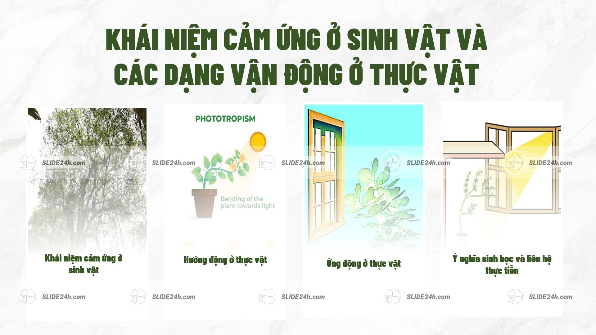 nội dung bài học cảm ứng ở sinh vật gồm khái niệm cảm ứng hướng động ứng động ở thực vật