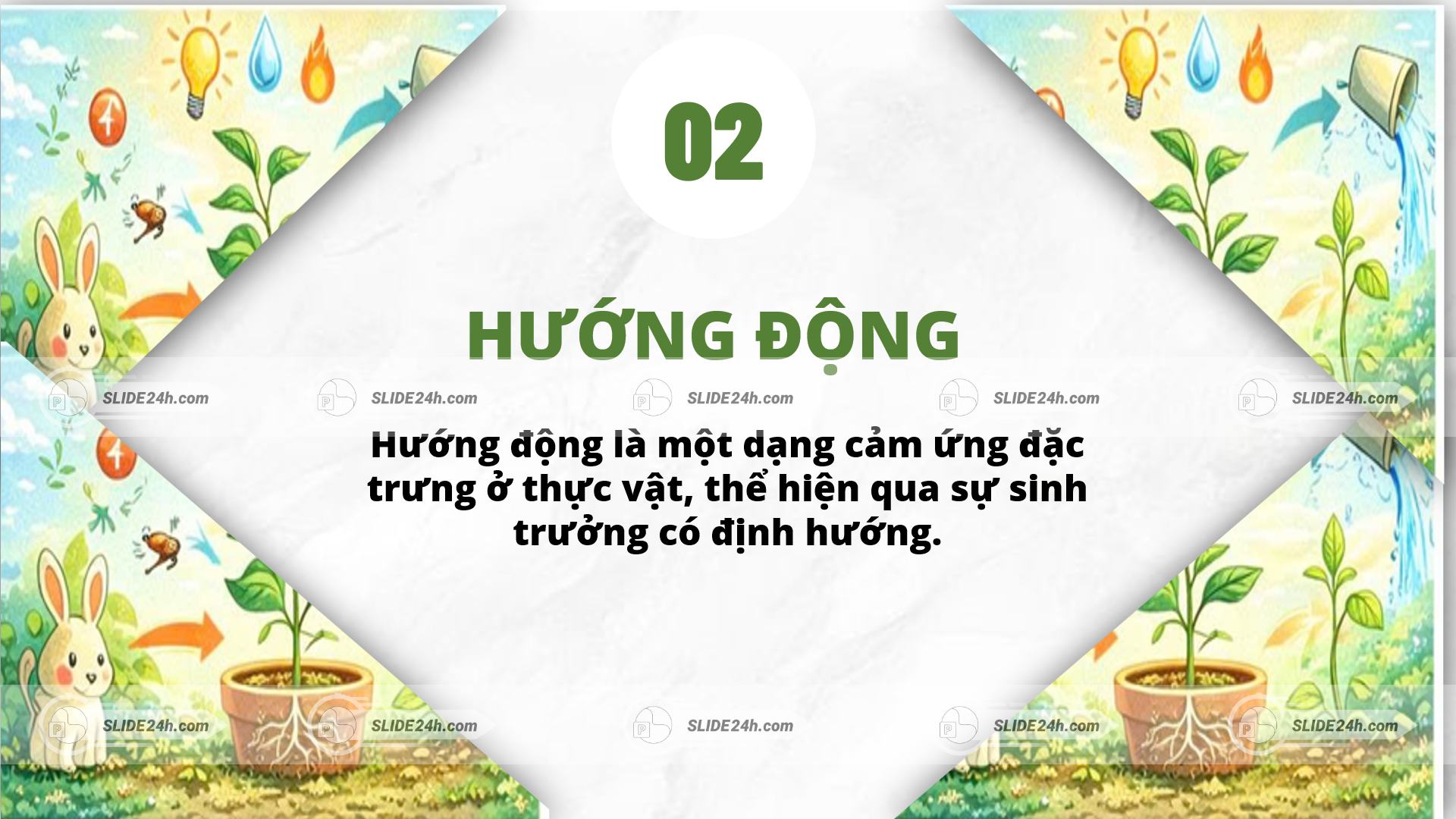 khái niệm hướng động ở thực vật và sự sinh trưởng có định hướng trước kích thích môi trường