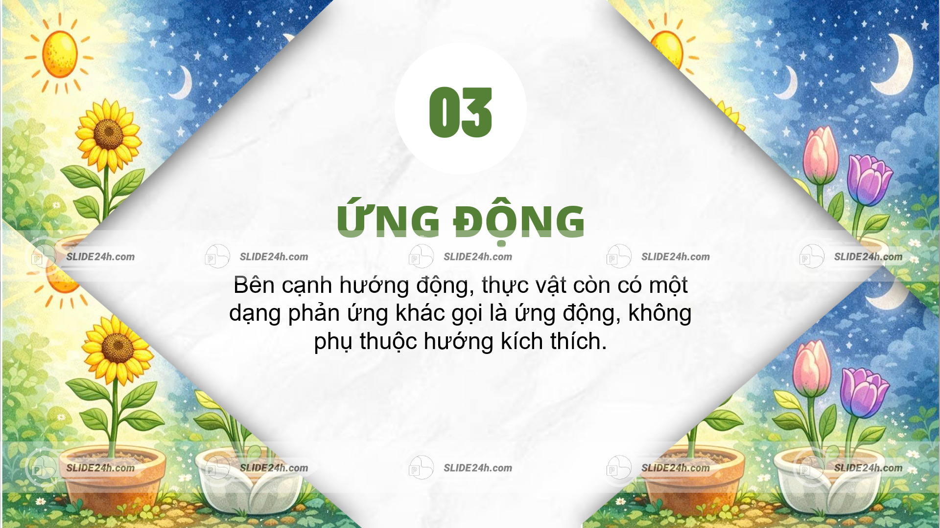 ứng động ở thực vật là phản ứng không phụ thuộc hướng kích thích của môi trường