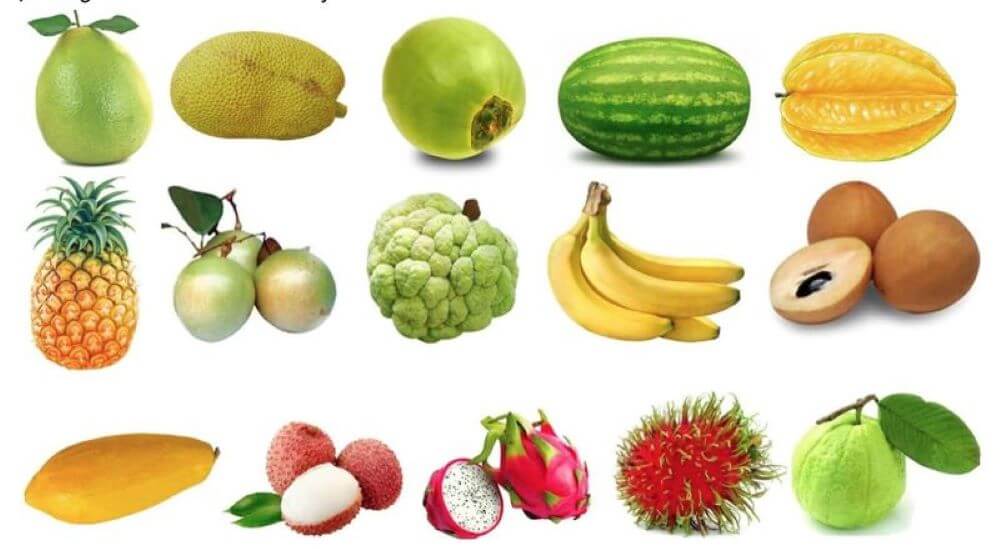 Mẫu câu giao tiếp về trái cây tiếng Anh