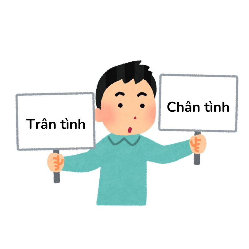 Khi ghép với từ tình thì chân tình mới là từ đúng chính tả.
