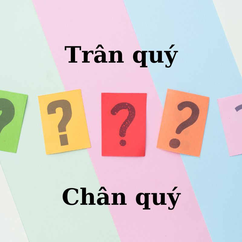 Trân quý thể hiện sự quý trọng