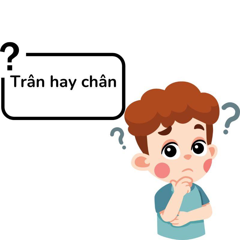 Cả trân và chân đều là từ đúng chính tả, nhưng chúng có nghĩa khác nhau và được sử dụng trong các ngữ cảnh khác nhau.