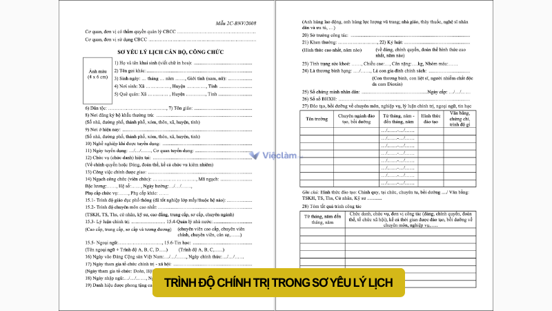 Trình độ chính trị trong sơ yếu lý lịch là gì? Cách ghi chi tiết