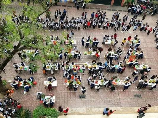 đánh giá Trường THPT Kim Liên có tốt không