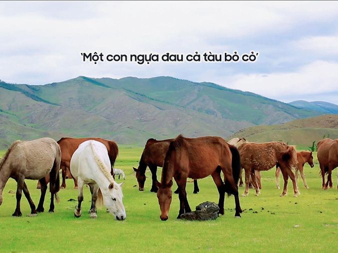 Giải thích ý nghĩa tục ngữ