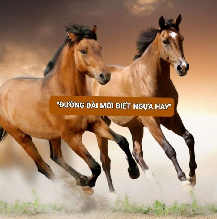 Nguyễn Phúc Milano | Lazi.vn - Cộng đồng Tri thức & Giáo dục