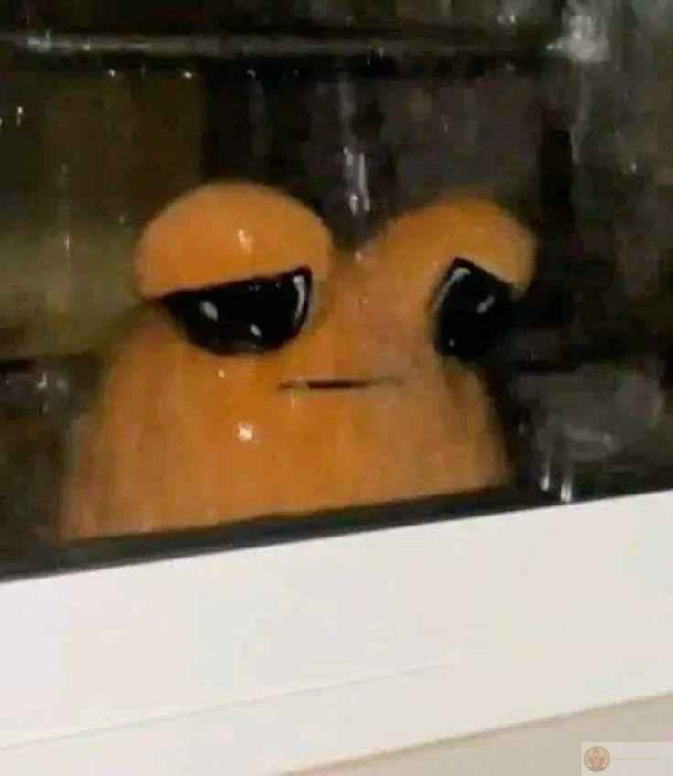 Khi thêm meme tuyệt vọng, một câu chuyện buồn cũng hóa thành tiếng cười