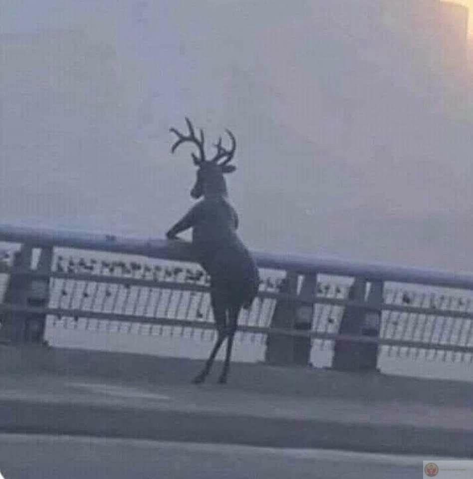 Meme thất vọng trở thành công cụ hài hước trong nhiều cuộc trò chuyện