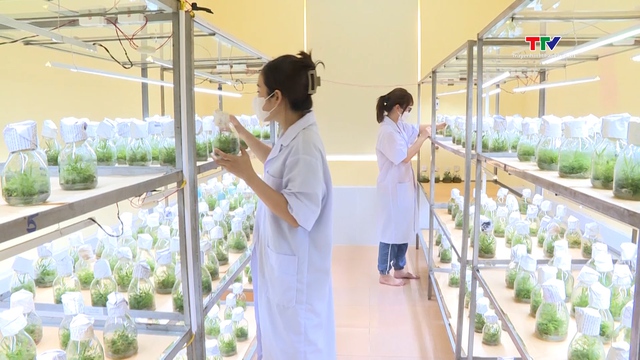 ung dung cua cong nghe te bao thuc vat